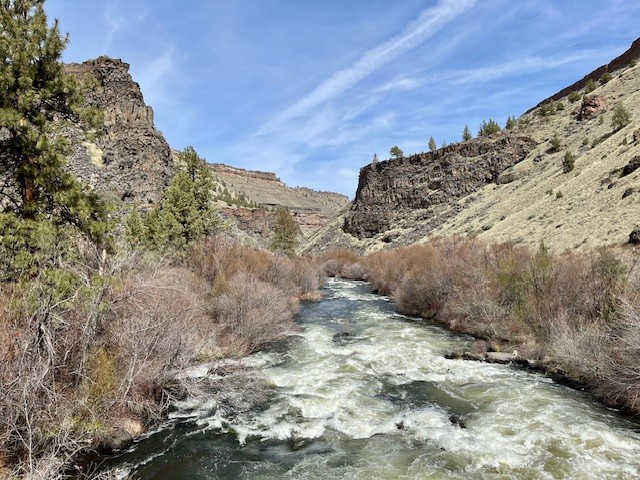 Alder Springs