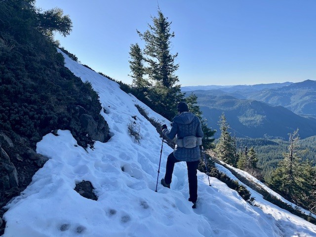 Iron Mountain 